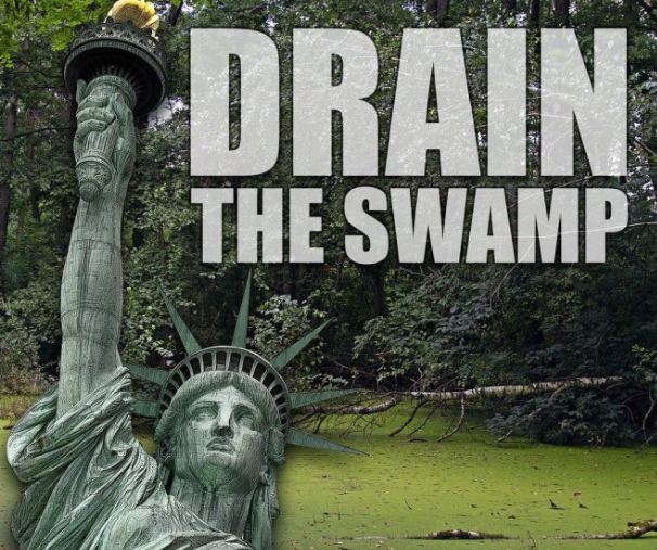 Our Swamp Needs Fresh Water 