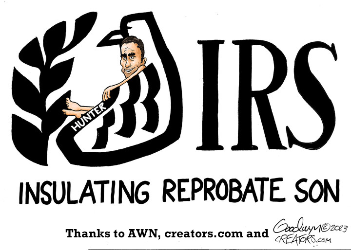 IRS – Insulating the Bidens